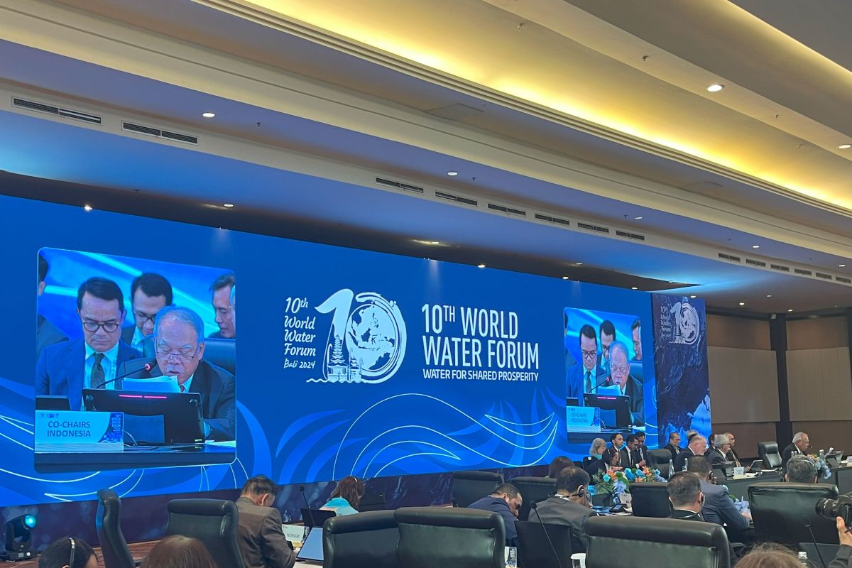 Ministerial declaration adopted during 10th World Water Forum