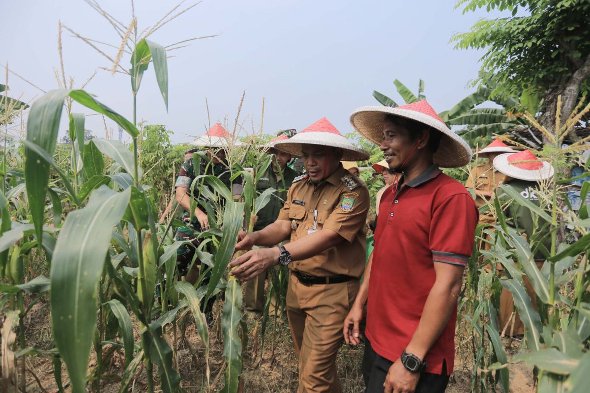 Maksimalkan lahan kosong jadi produktif, Pemkot Tangerang ajak swasta