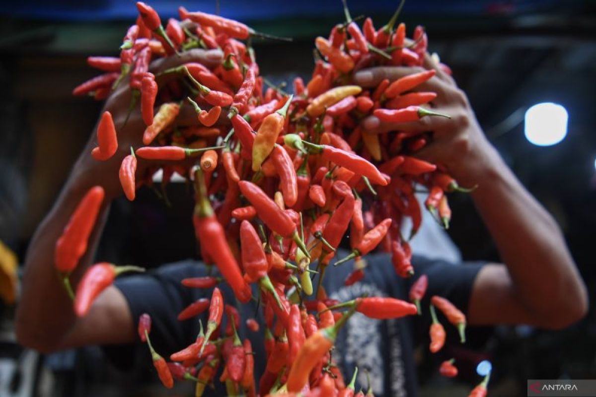 Harga pangan 29 Juli 2024: Cabai rawit merah naik jadi Rp70.150 per kg