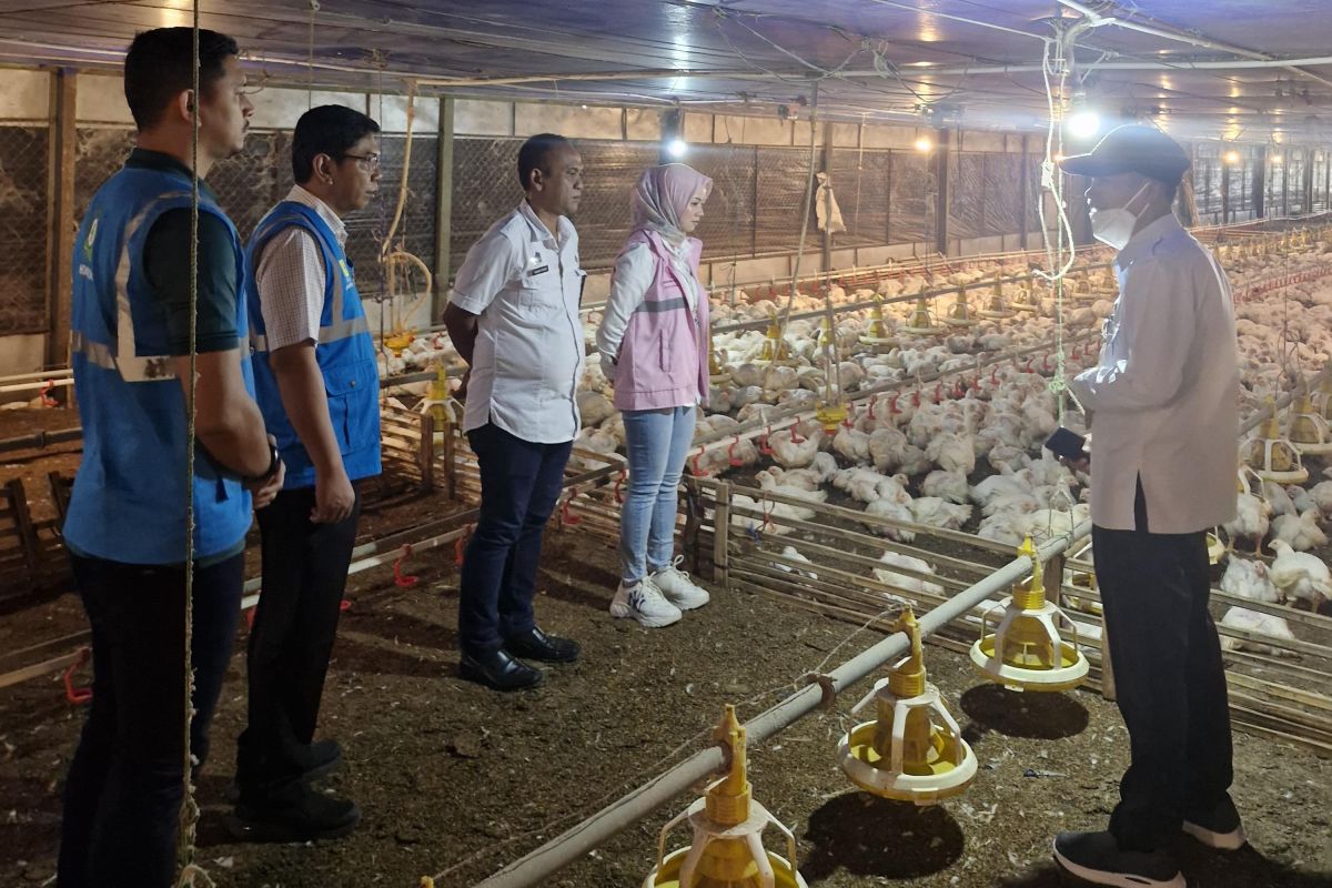 PLN UID Banten ajak peternak ayam di Lebak beralih ke listrik PLN