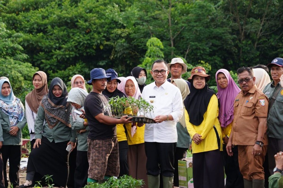 Pemkab Banyuasin terus galakan tanam cabai