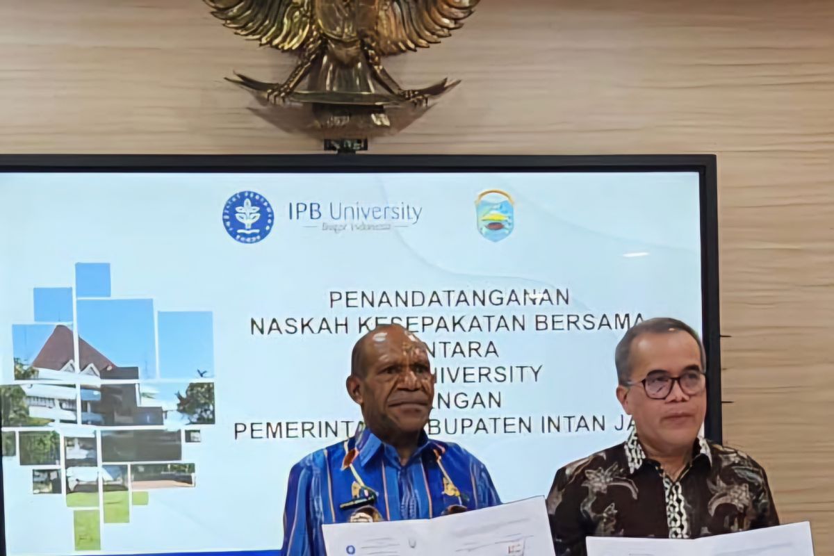 Intan Jaya jalin kerja sama dengan universitas bangun SDM asli Papua