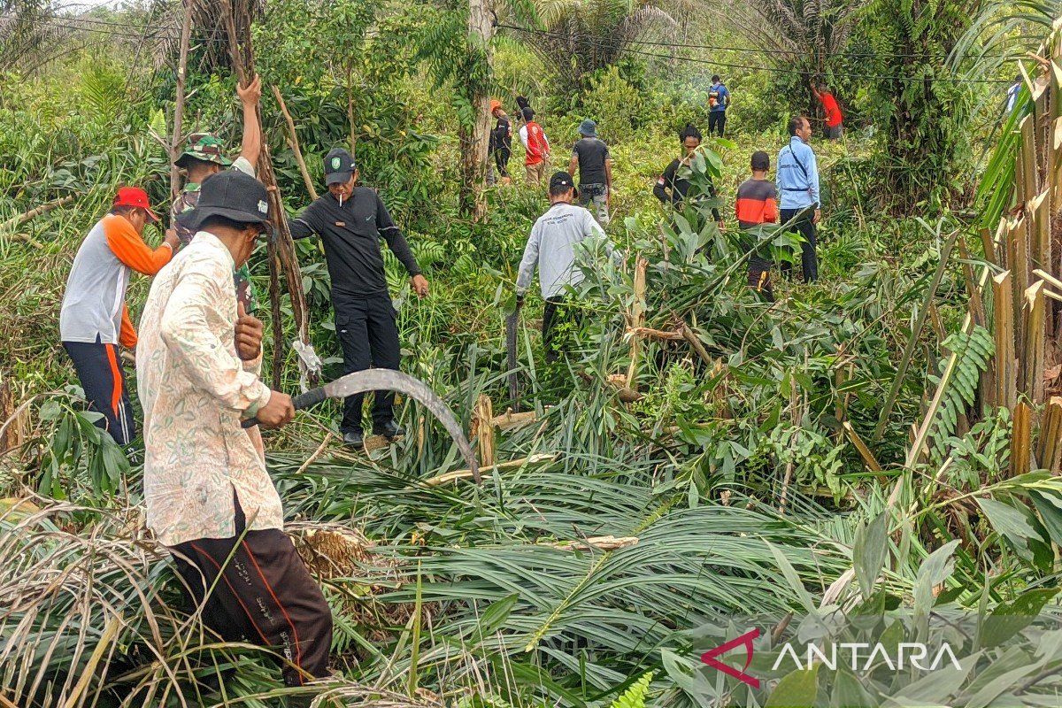 Kotim kerahkan ratusan pegawai bersihkan lahan perpanjangan "runway"