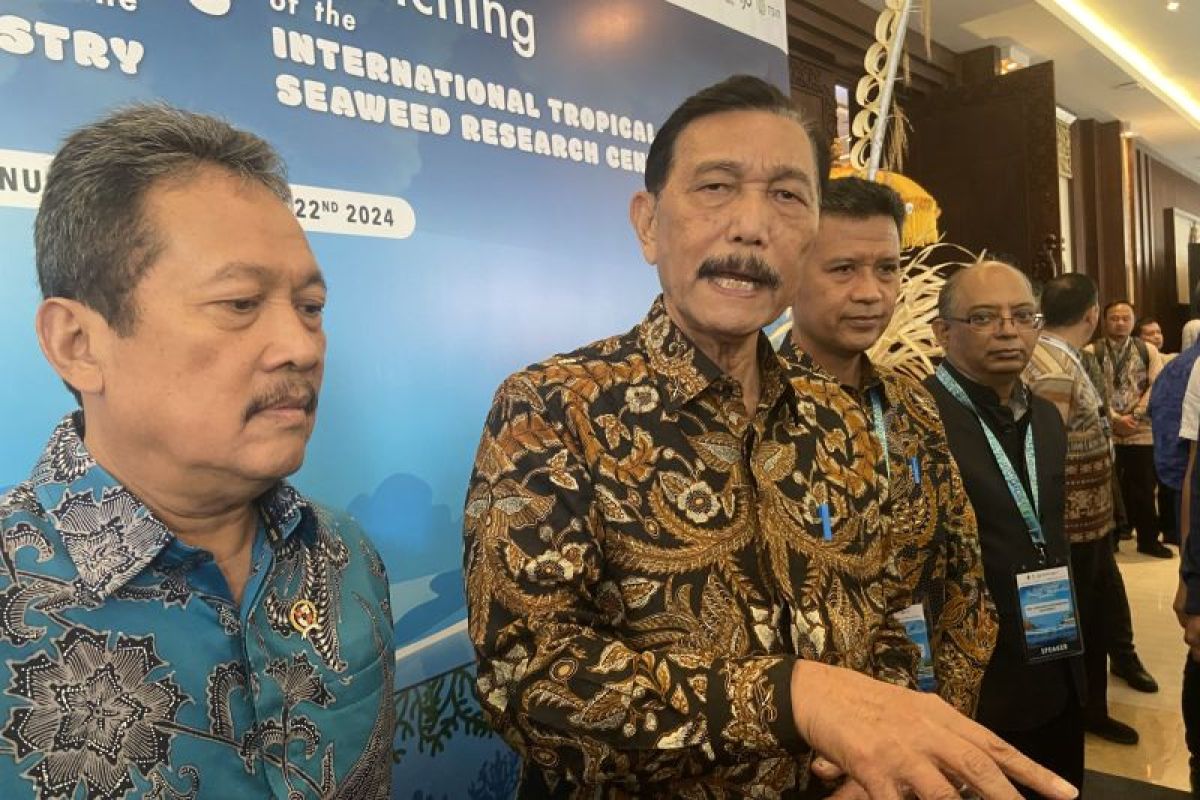 Luhut: Usaha rumput laut bisa jadi program percepatan Prabowo