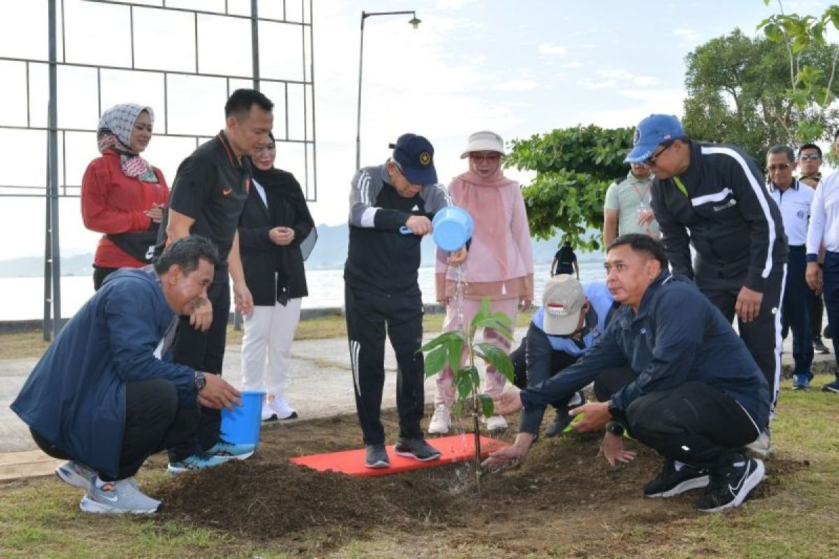 Wapres Ma'ruf Amin tanam pohon sukun di sela kunjungan kerja di Mamuju Sulbar