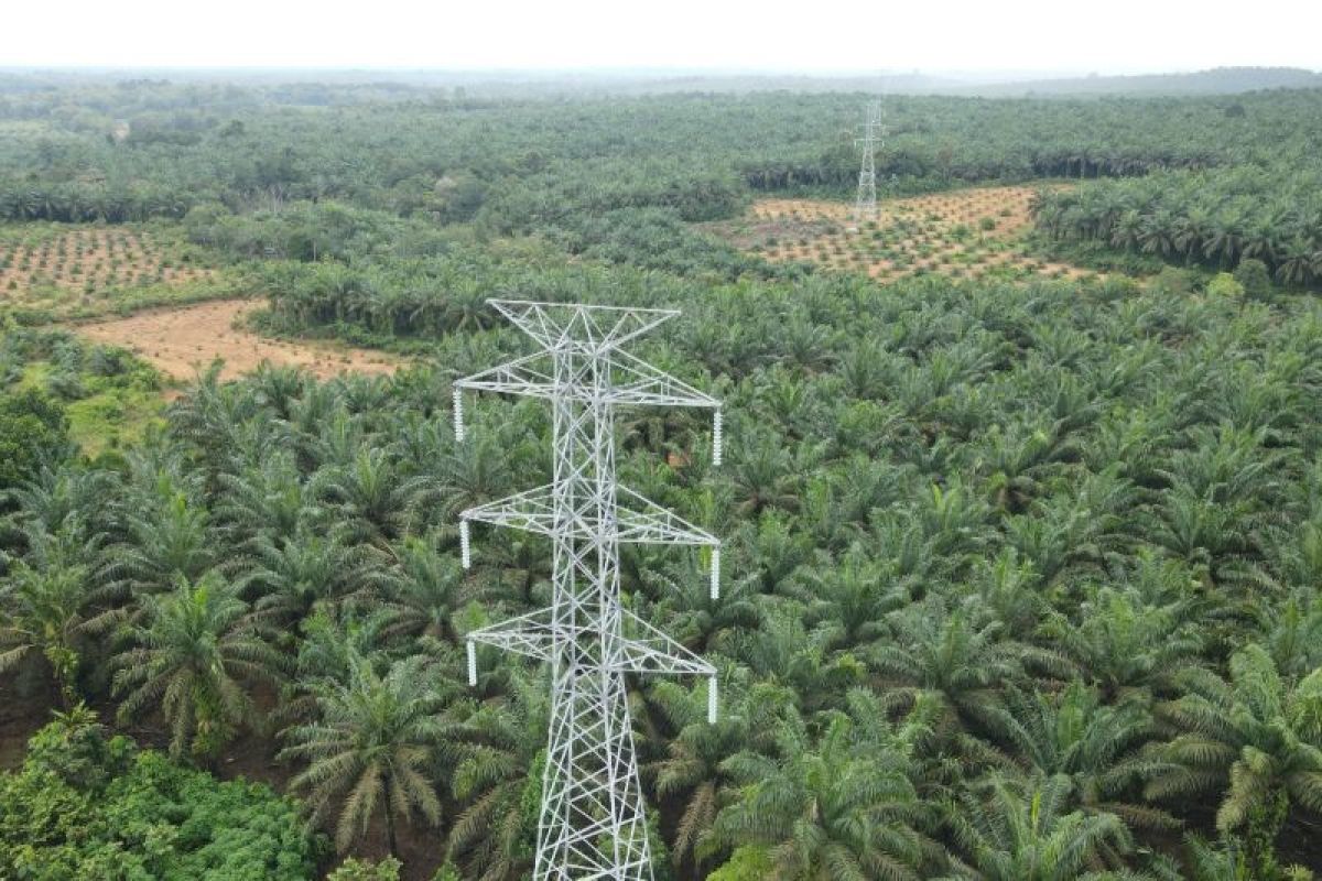 Interkoneksi listrik Kalbar-Kalteng SUTT 150 kV PLN capai 85,99 persen