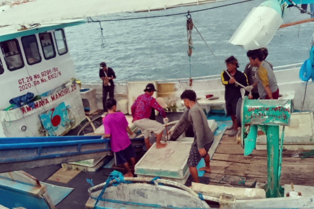 Pemkab Biak: Operasional pabrik ikan tuna loin membuka peluang kerja