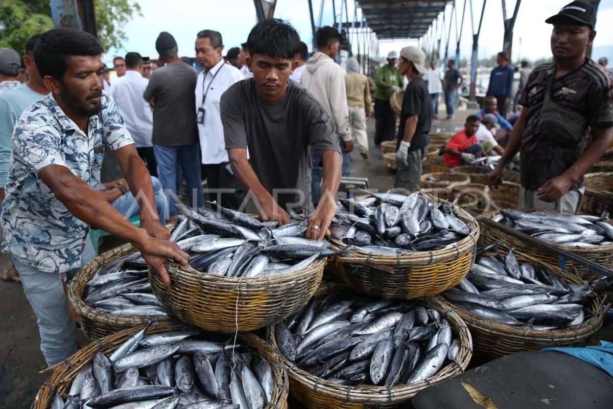 DKP Aceh latih penanganan ikan di atas kapal bagi nelayan