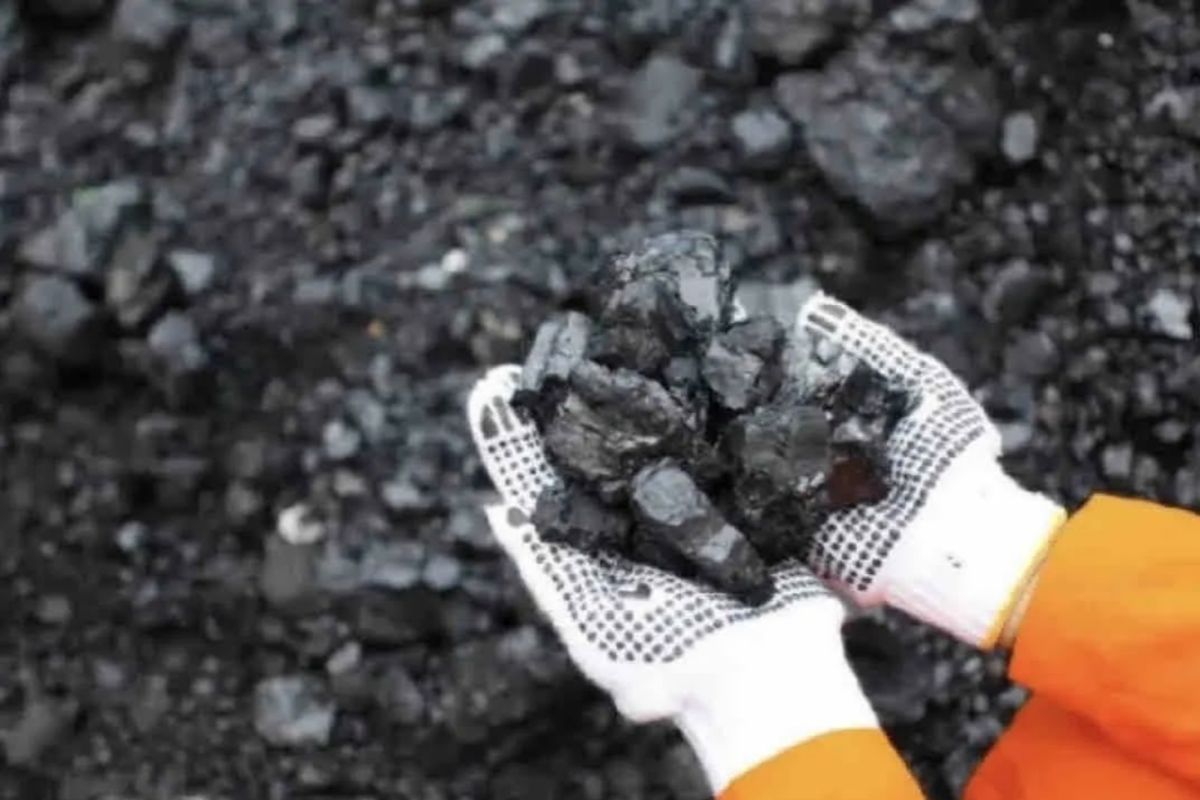 Ormas agama berpeluang kelola tambang batu bara setelah PP Minerba direvisi