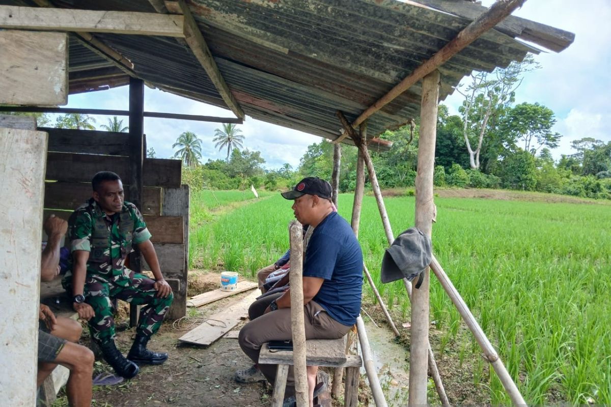 Pemkab dan Kodim Sorsel kolaborasi dampingi petani di Moswaren