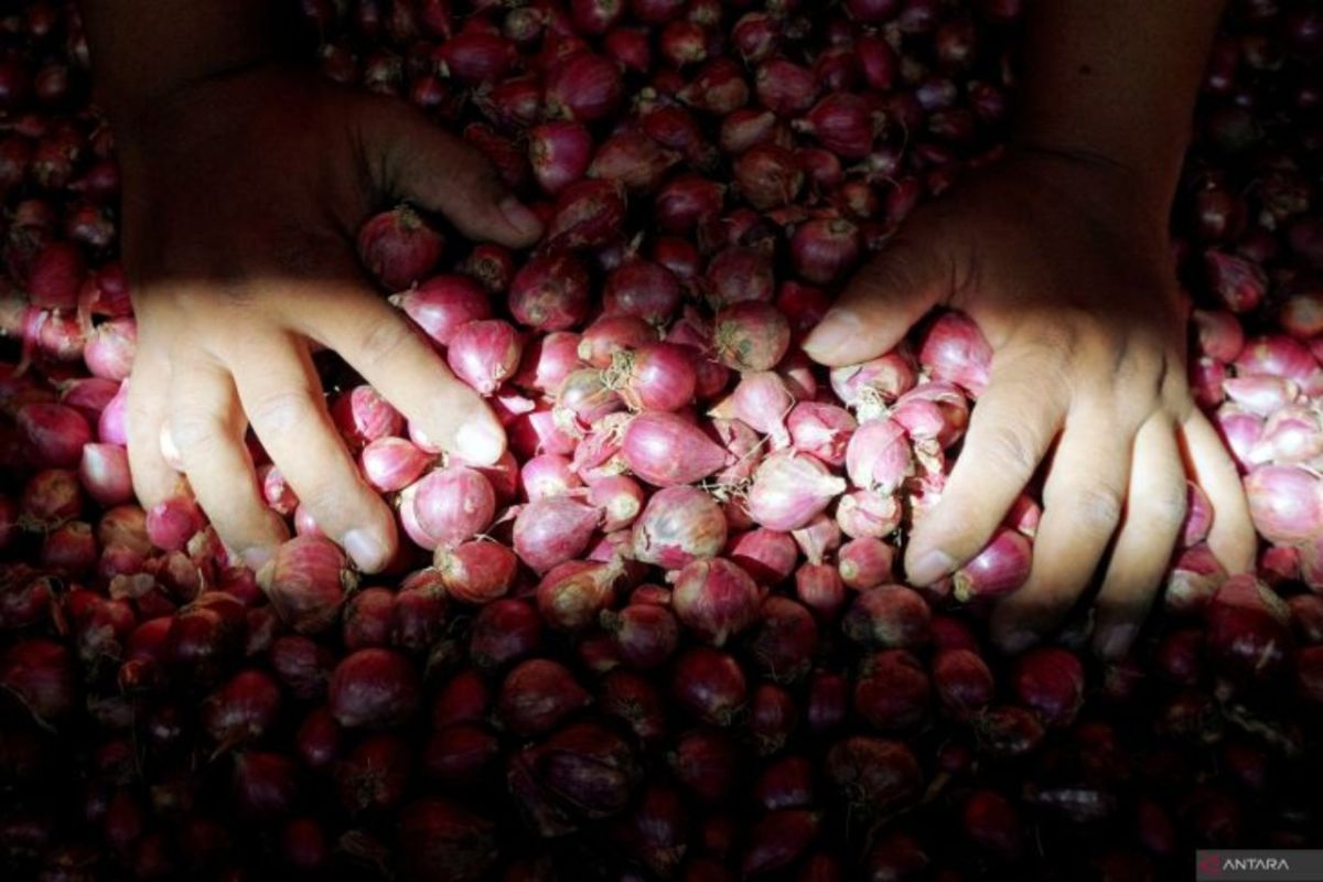 DPRD Surabaya sarankan pemkot kerja sama tekan harga bawang merah