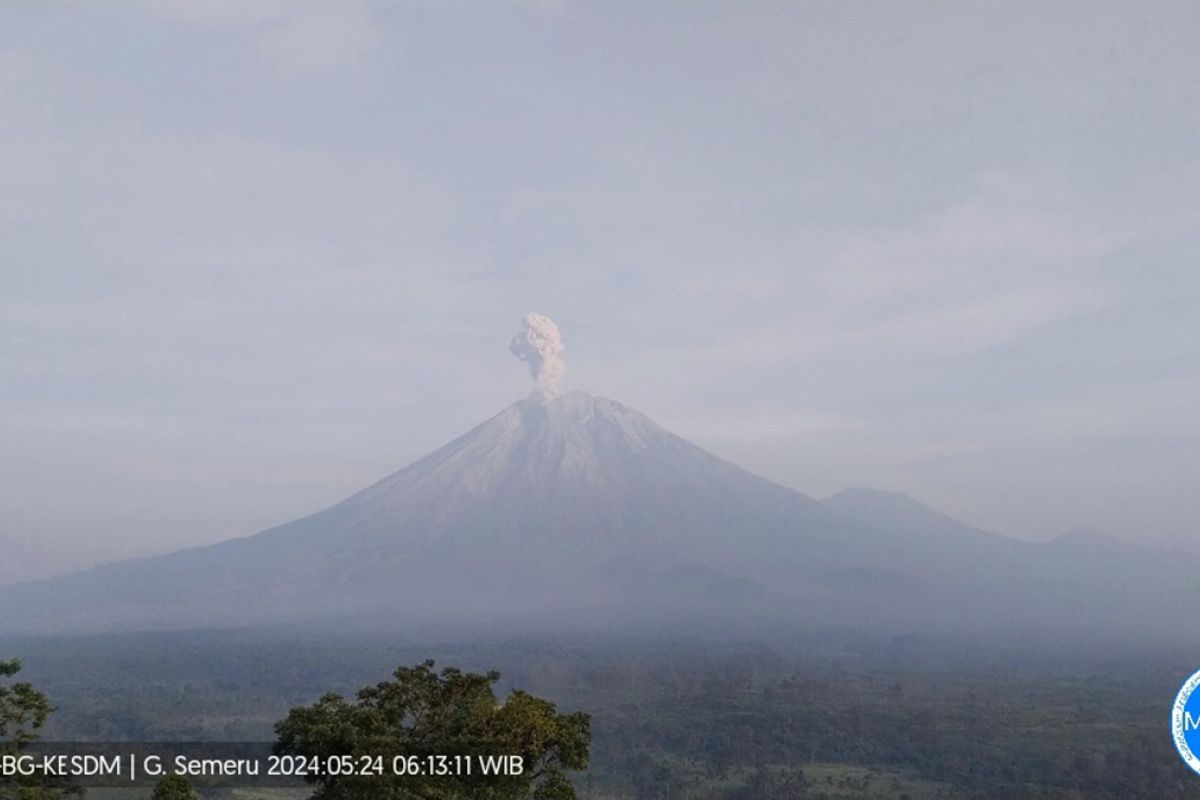 Gunung Semeru  erupsi enam kali dengan letusan abu hingga 900 meter