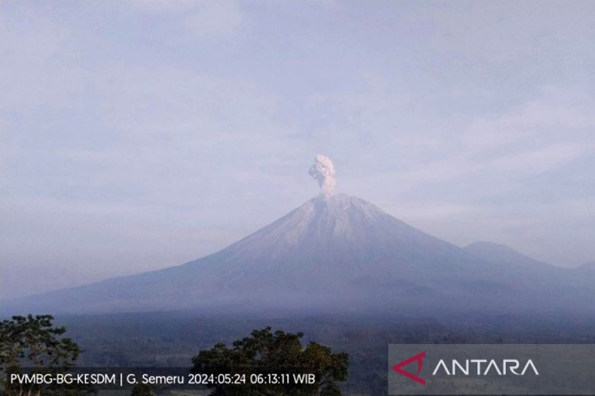 Gunung Semeru erupsi enam kali dengan letusan abu hingga 900 meter