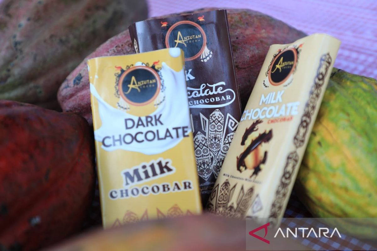 Meningkatkan nilai tambah melalui hilirisasi kakao lokal Bulungan