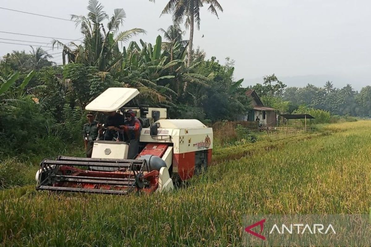 Kementan kawal percepatan tanam padi musim tanam Mei 2024 di Bantul, Yogykarta