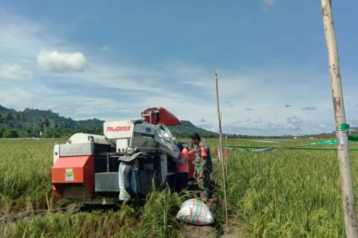TNI bantu mengoperasikan mesin pertanian padi Pasangkayu