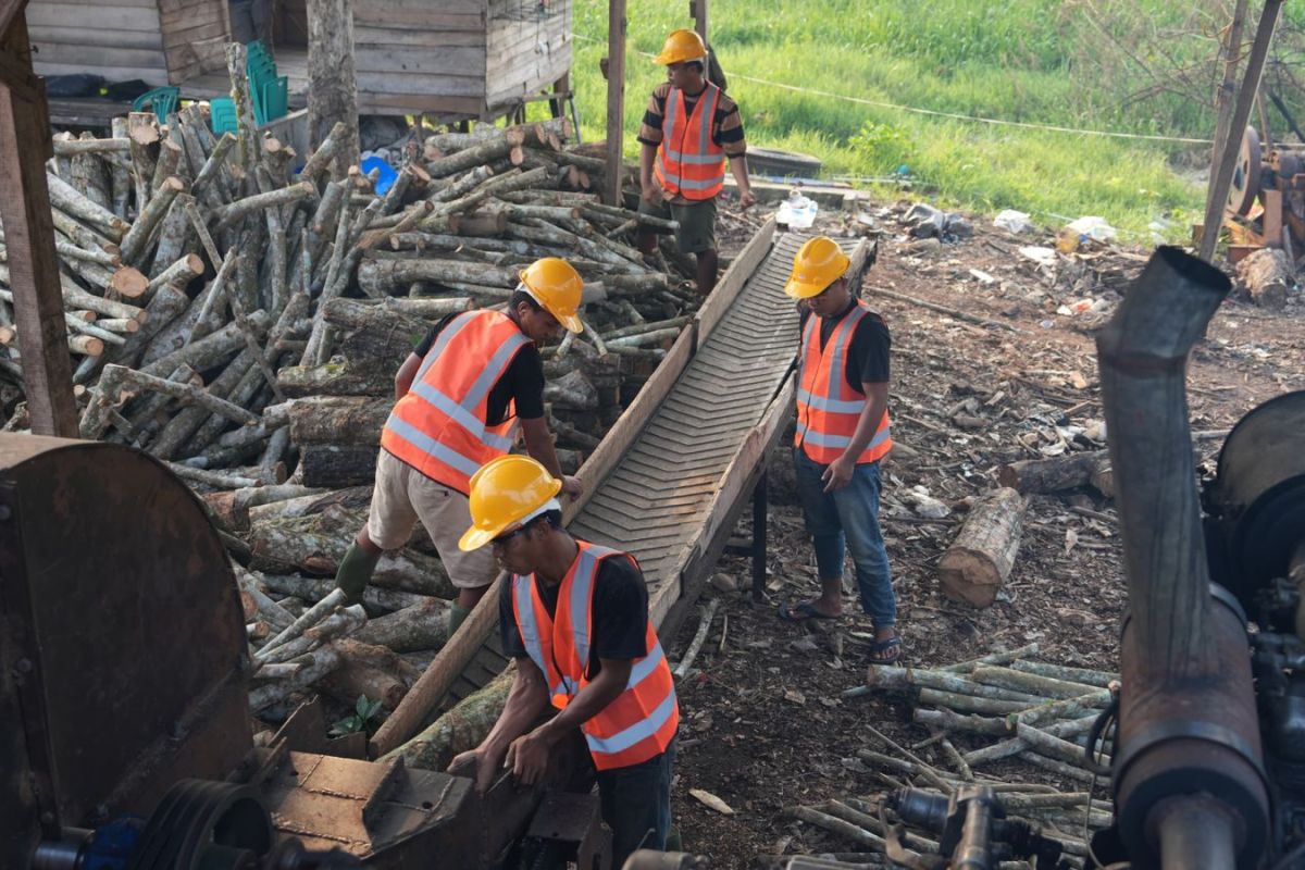 Produksi biomassa PLTU Tembilahan Riau serap tenaga kerja lokal