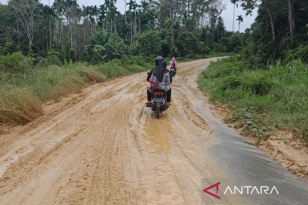 Jalan lintas Tamiang-Aceh Timur rawan longsor, diduga akibat pembukaan lahan