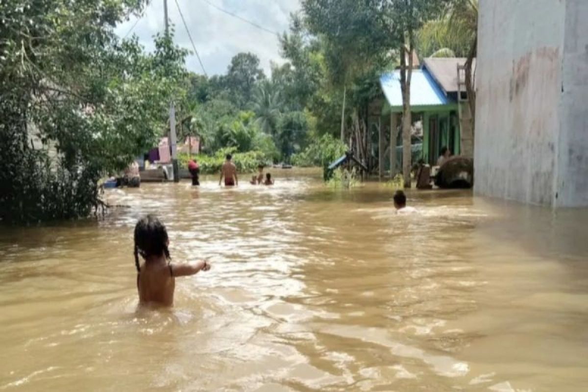 Banjir kembali rendam empat desa di Kotawaringin Timur