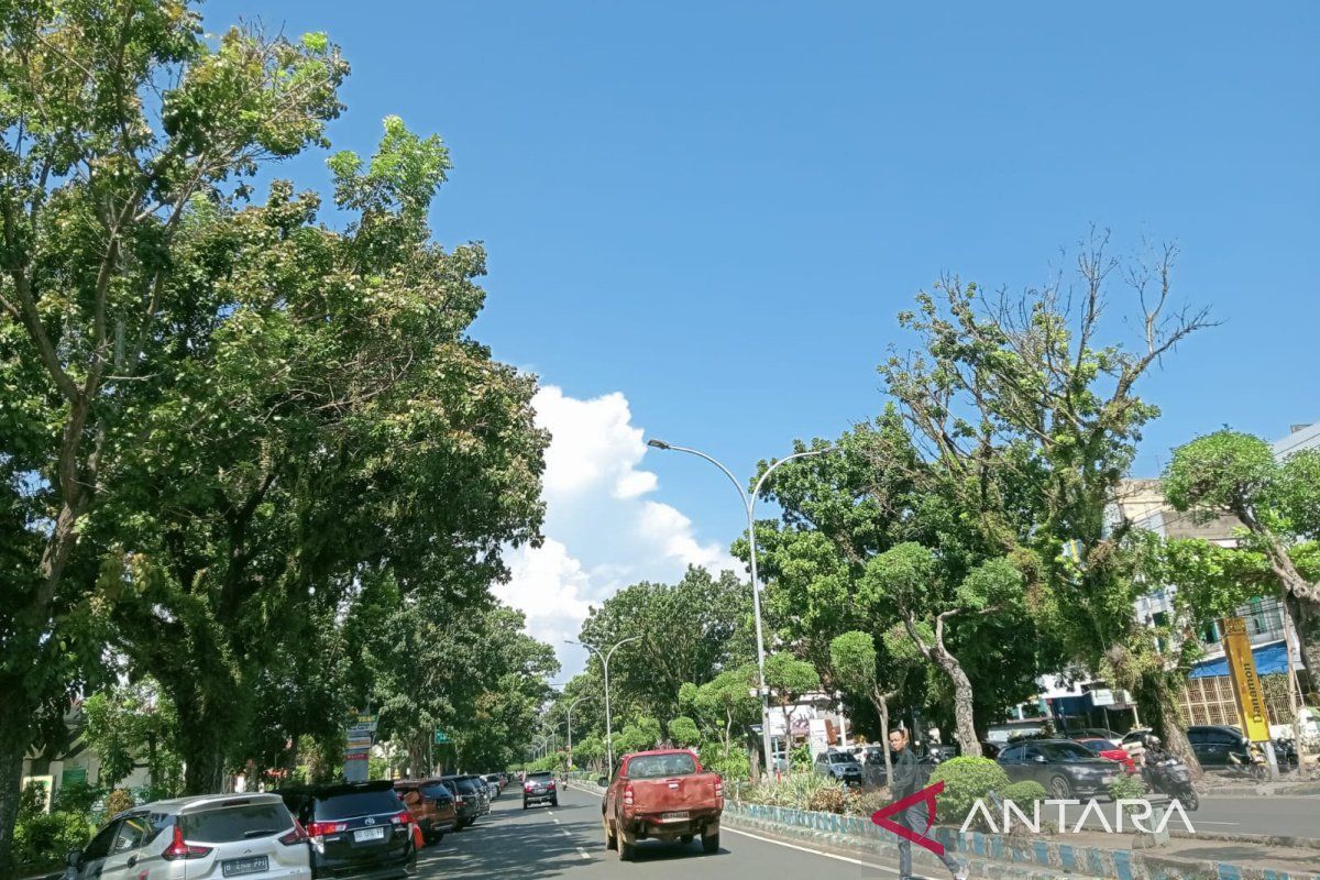 Pemkot Bengkulu anggarkan Rp600 juta untuk pemasangan 245 lampu jalan