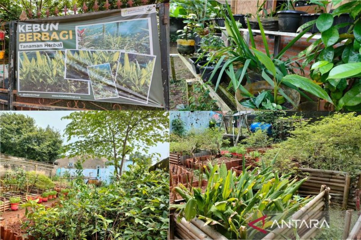 Indonesia punya potensi besar dalam produksi obat herbal: BRIN