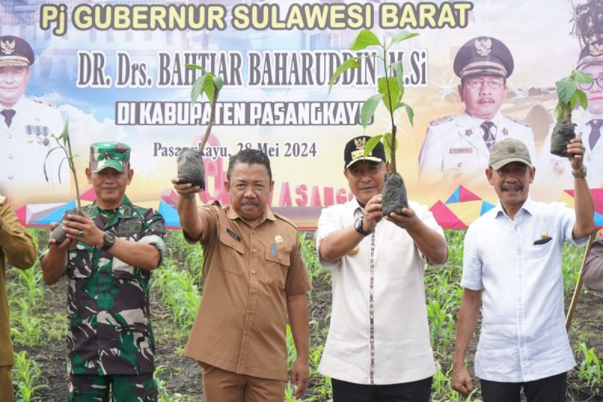 Pj Gubernur dorong Sulbar jadi penghasil sukun