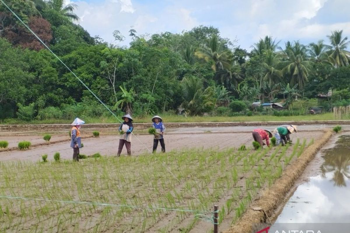 Lima kecamatan di Tabalong terima bantuan pompanisasi