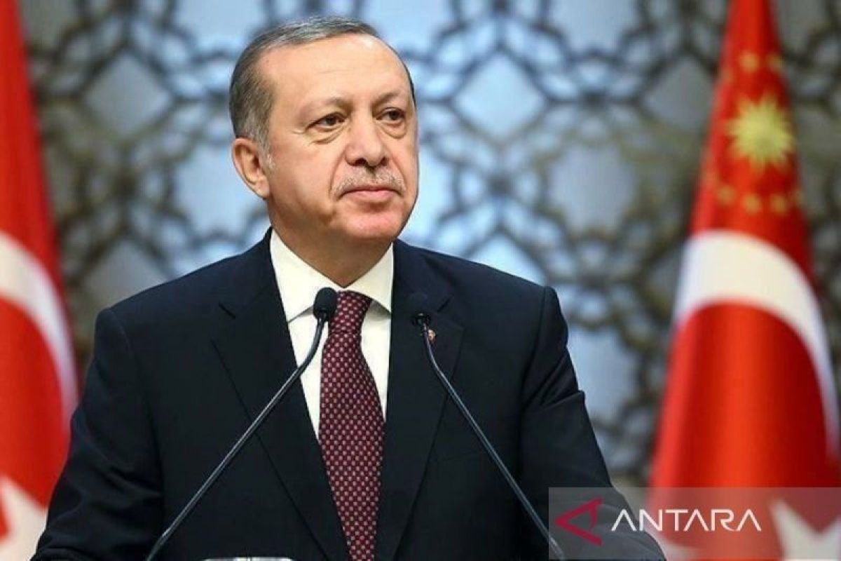 Erdogan sebut Turki ingin pastikan perdamaian kawasan lewat diplomasi yang teguh