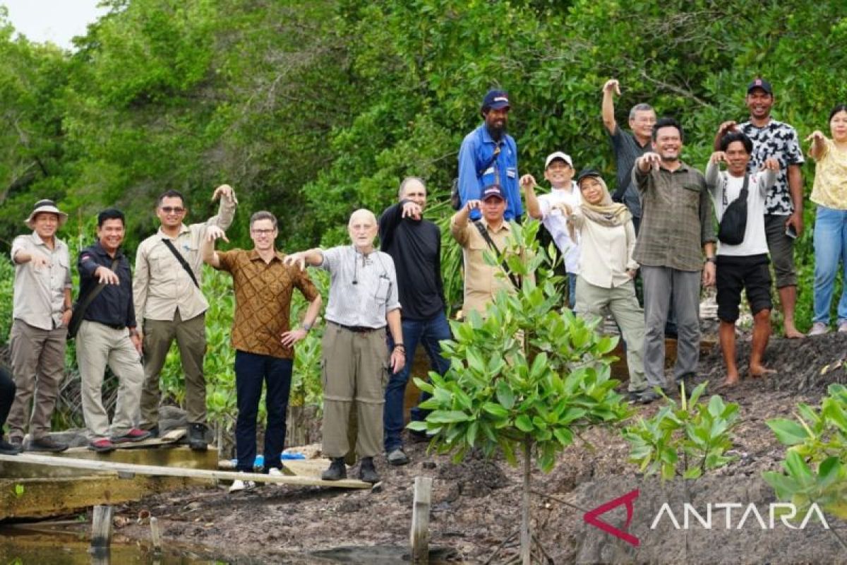 Pemkab Bulungan-Kedutaan Kanada kerja sama jaga ekosistem mangrove