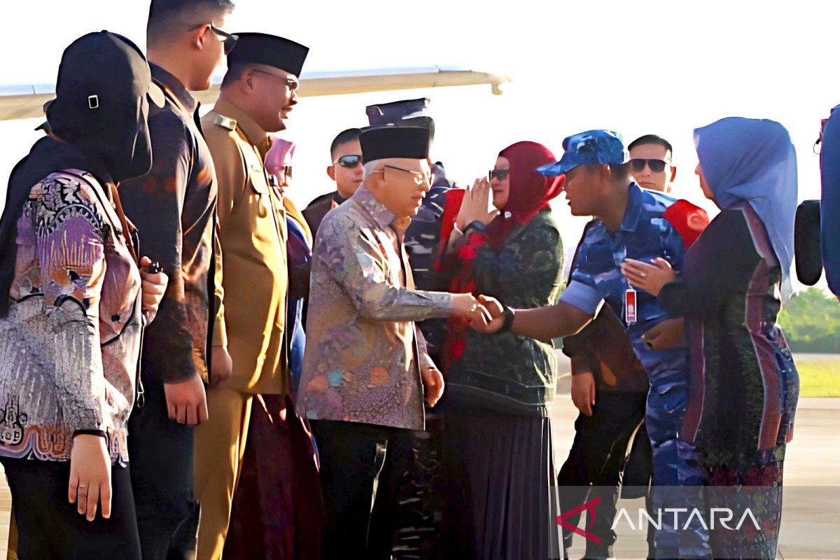 Komandan Lanud H AS Hanandjoeddin sambut kedatangan Wapres di Babel