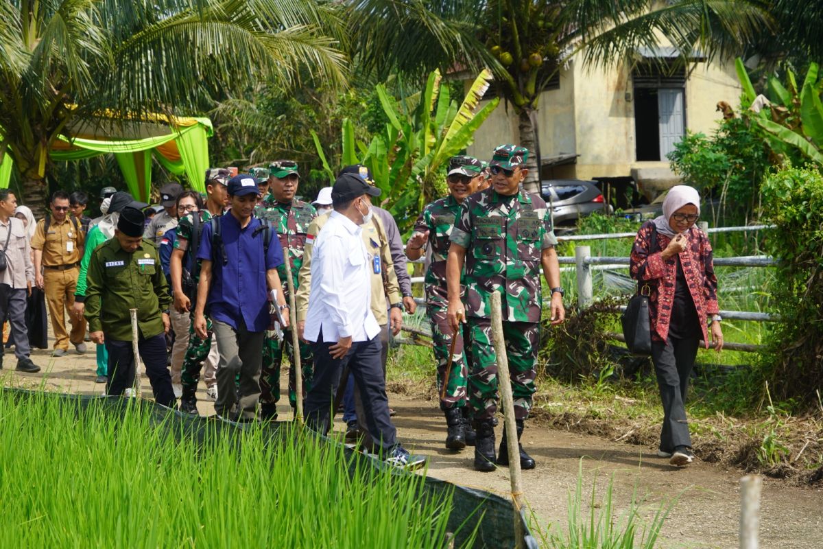 TNI bantu optimalisasi lahan pertanian di Batanghari Jambi