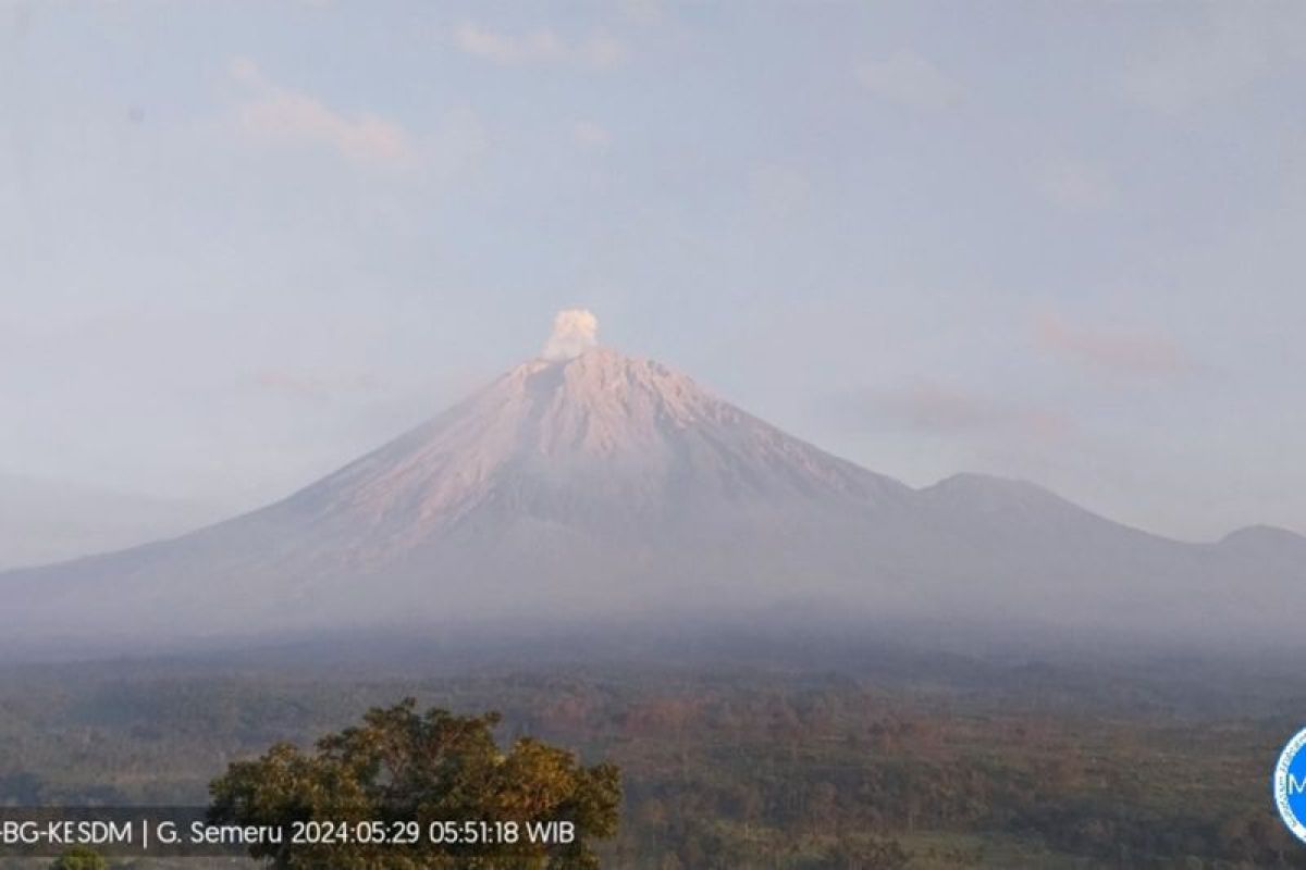 Gunung Semeru kembali erupsi dengan letusan setinggi 500 meter
