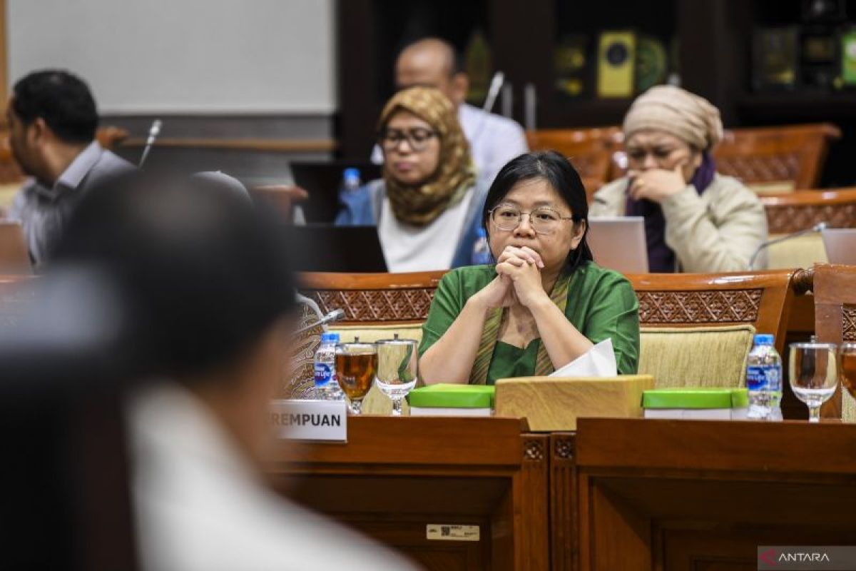 DPR: Usulan Komnas Perempuan Soal Badan Anggaran Mandiri Perlu Dikaji ...