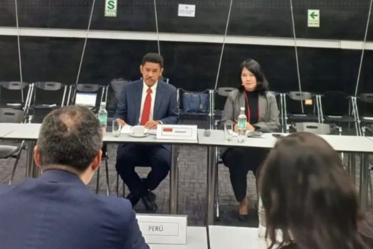 Indonesia, Peru start first IP-CEPA negotiation round: ministry