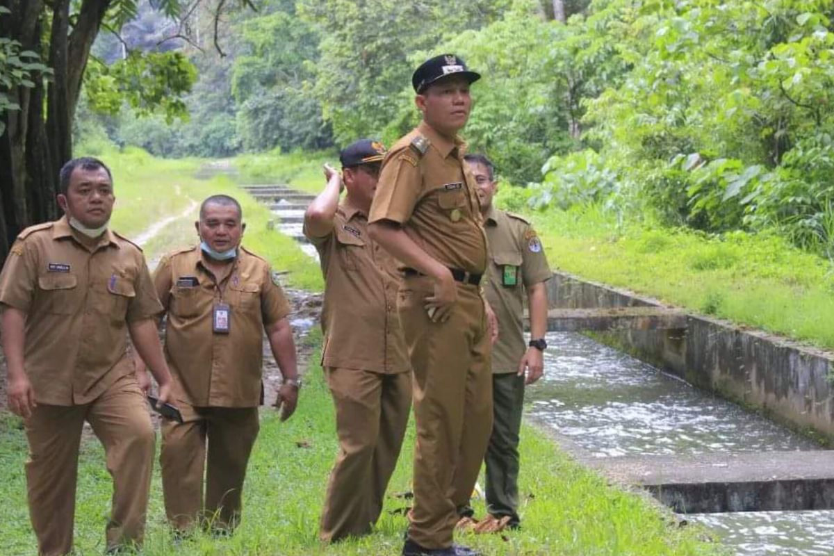 Pemkab Pasaman upayakan pola pengelolaan TWA Rimbo Panti melalui BKSDA