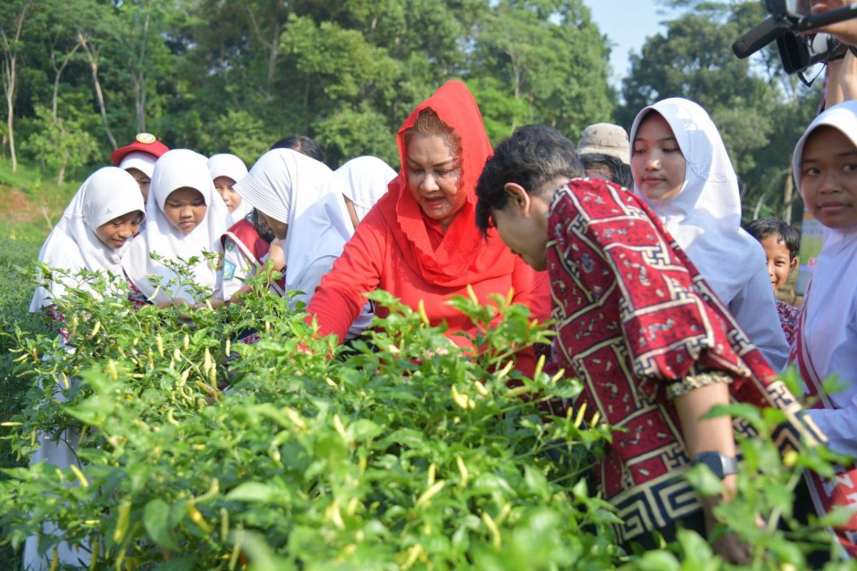 Wali Kota Semarang dorong anak muda jadi petani milenial