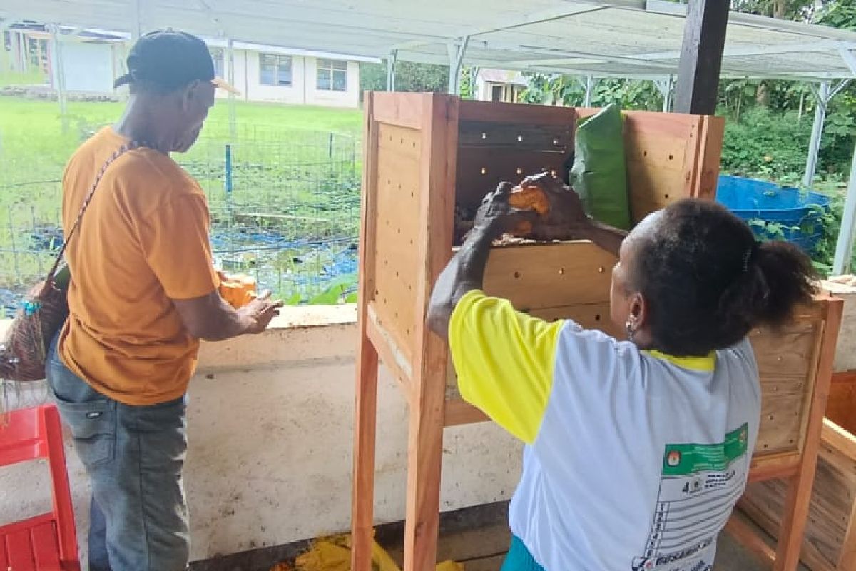 Masyarakat Waris Kabupaten Keerom dilatih cara fermentasi biji coklat