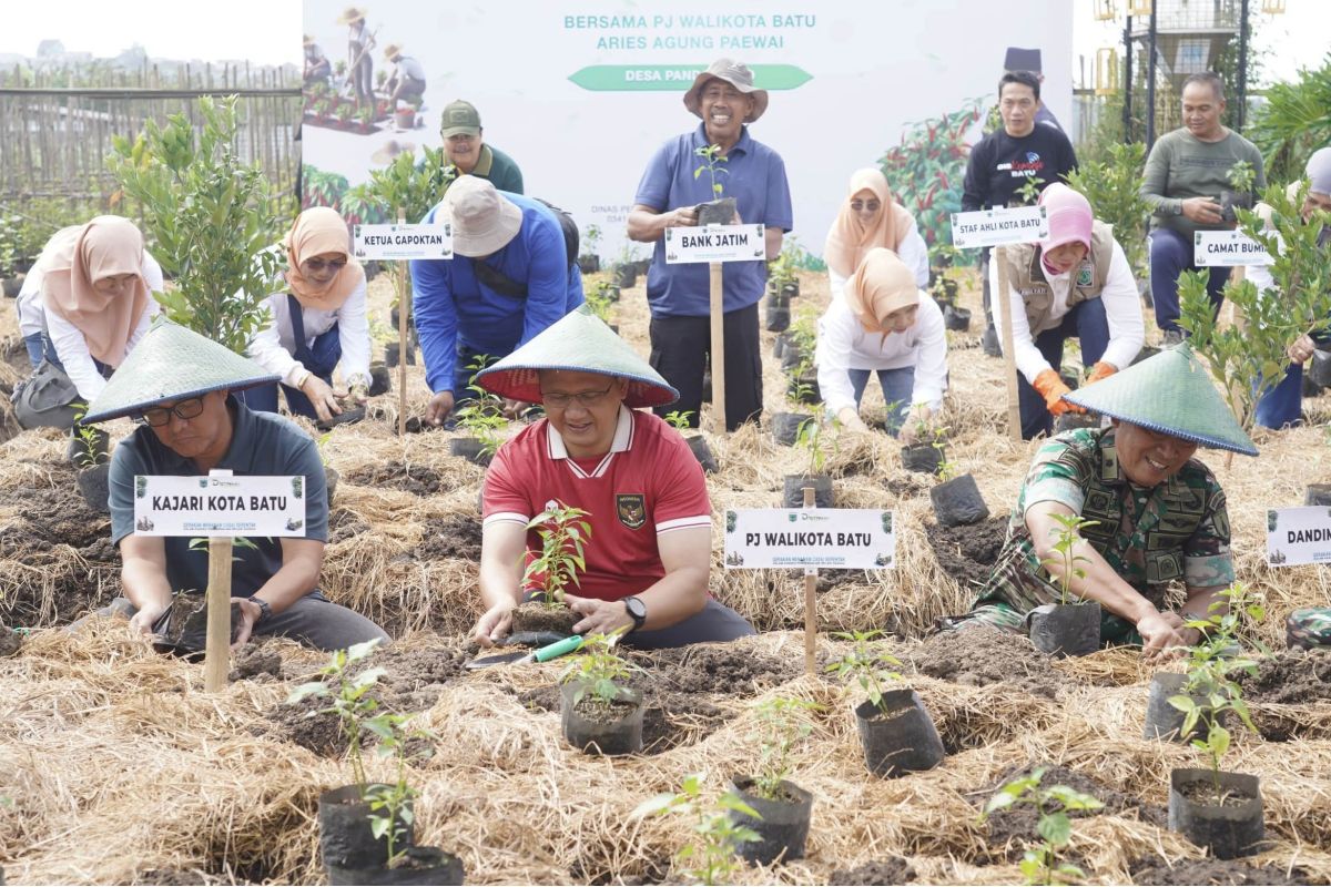 Pemkot Batu kuatkan gerakan tanam cabai demi tekan inflasi