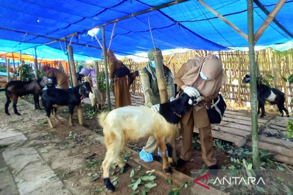 Jelang Idul Adha, DKPP Sumenep kerahkan personel pantau kesehatan hewan