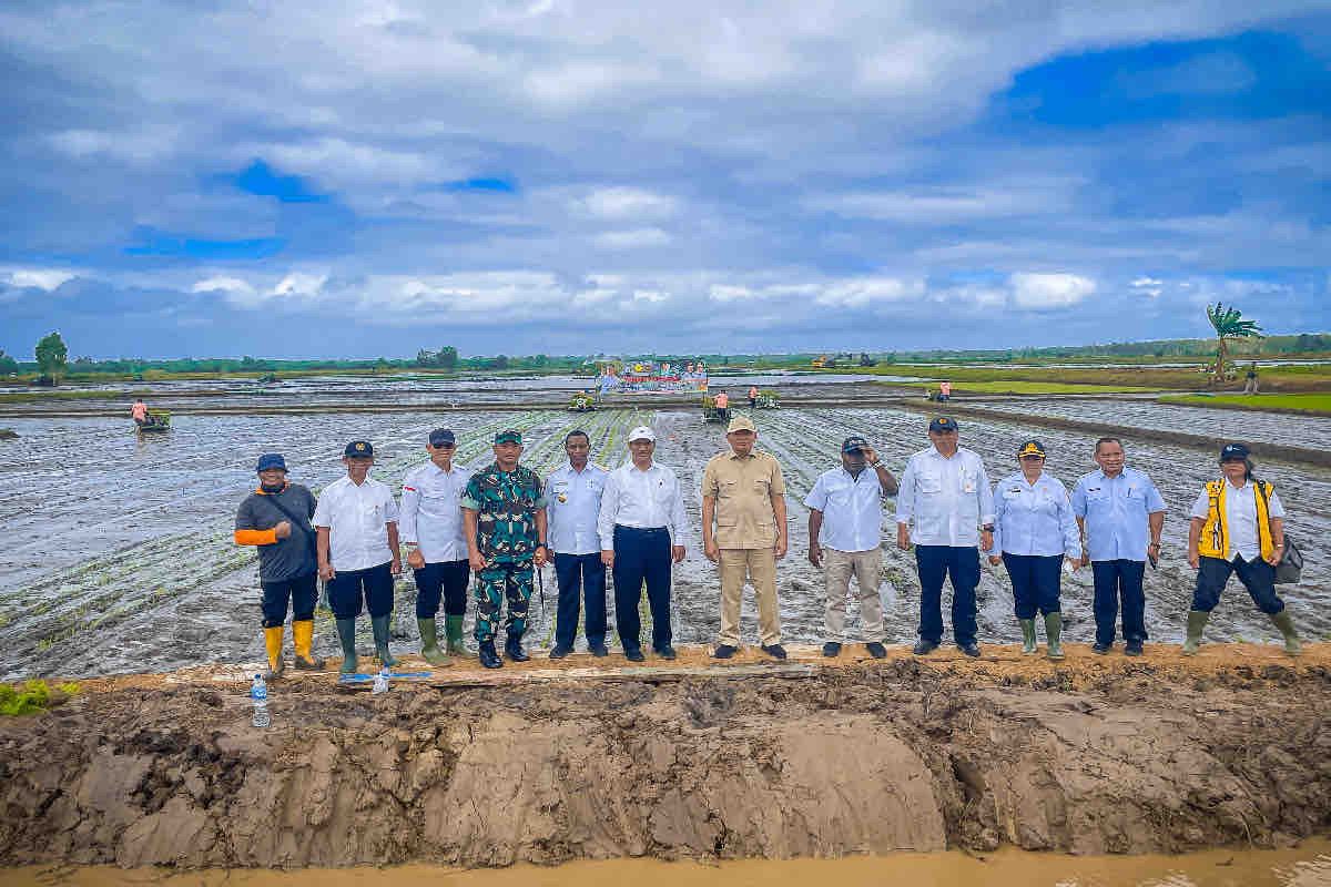 Menteri Pertanian upayakan peningkatan indeks pertanaman padi di Gorontalo