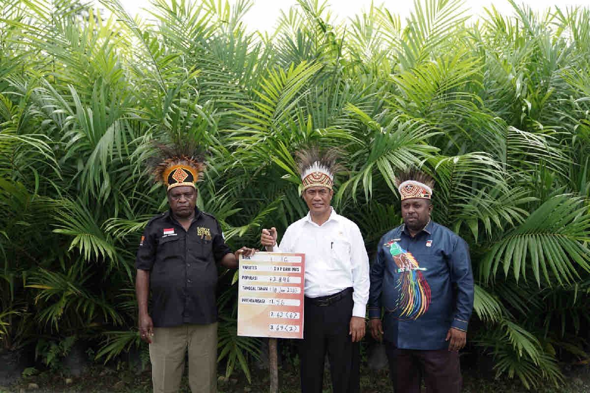 Menteri Pertanian: Papua Barat jadi contoh hilirisasi kelapa sawit