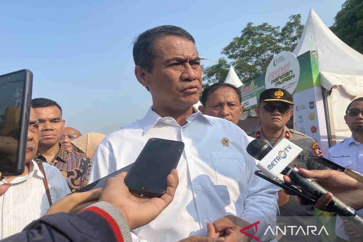 Mentan: Lahan rawa bisa untuk tanam padi di Merauke capai 44,7 ribu ha