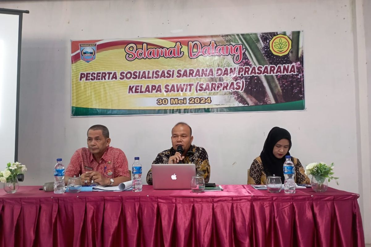 Pemkab Pasaman Barat optimalkan pelaksanaan program sapras kelapa sawit