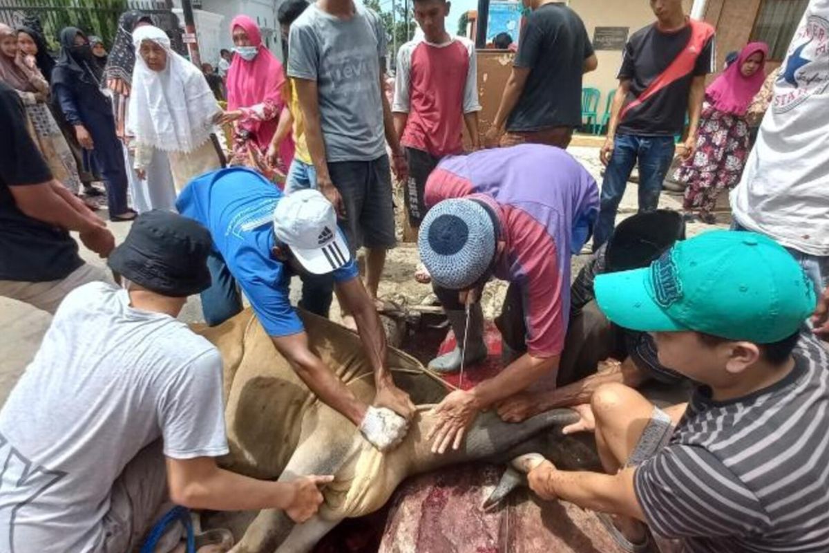 Pemkot Bukittinggi gelar Sosialisasi ASUH pemotongan hewan kurban