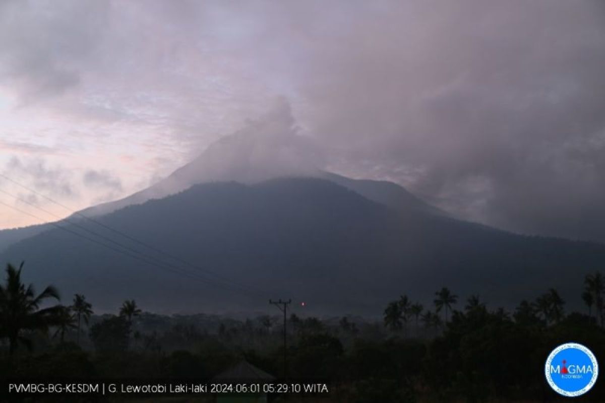 Gunung Lewotobi Laki-Laki di Flores Timur erupsi tiga kali pada Sabtu pagi