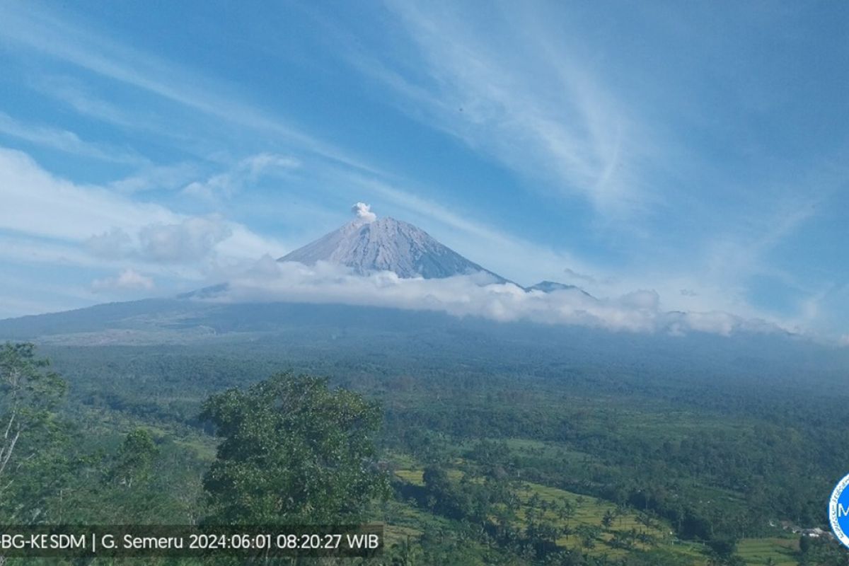 Gunung Semeru erupsi terus menerus sebanyak delapan kali