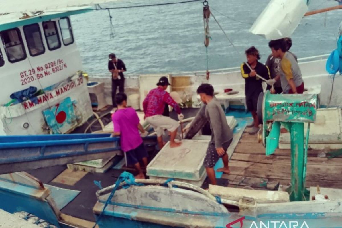 Sektor perikanan-pariwisata penopang perekonomian daerah Biak