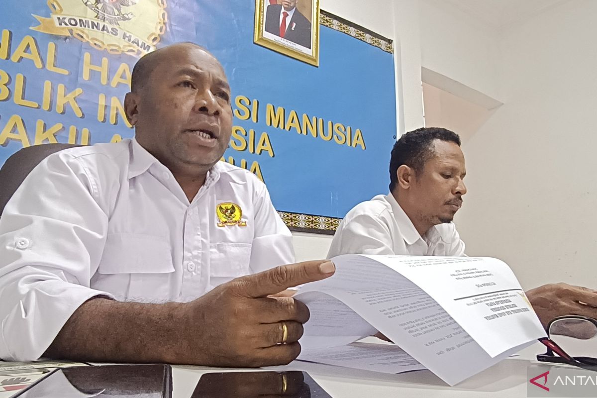 Komnas HAM: Januari-Juni 2024 terjadi 41 kasus kekerasan di Papua