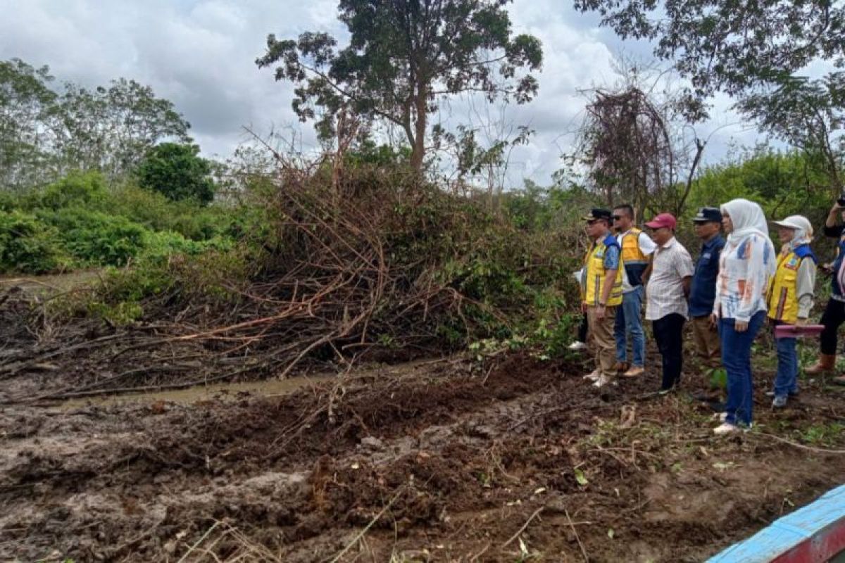 Banyuasin bangun jaringan  irigasi rawa guna naikkan hasil tani