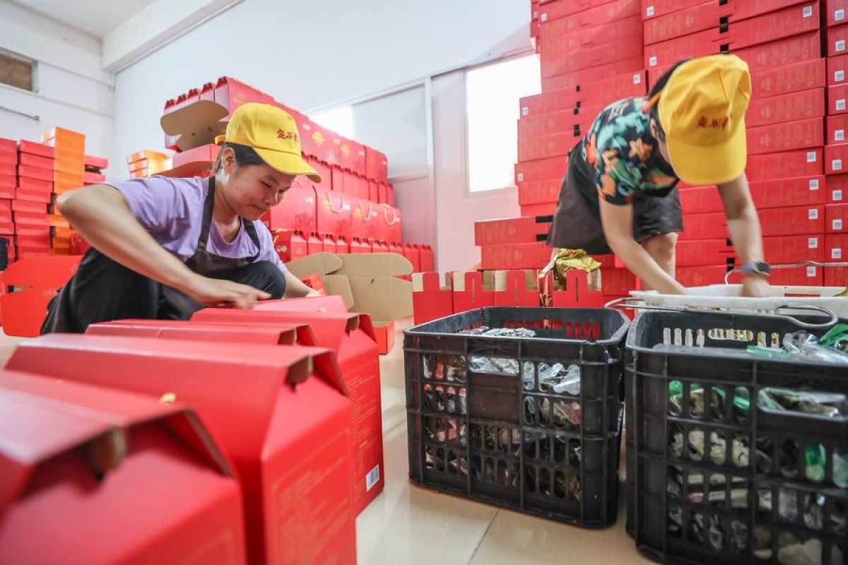 Jelang Festival Perahu Naga, pabrik di Hainan  sibuk produksi Zongzi